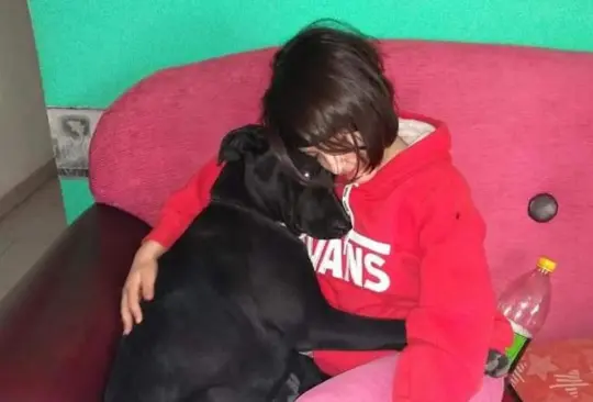 Polic&iacute;a ir&aacute; a prisi&oacute;n tras matar a pitbull considerada hija no humana