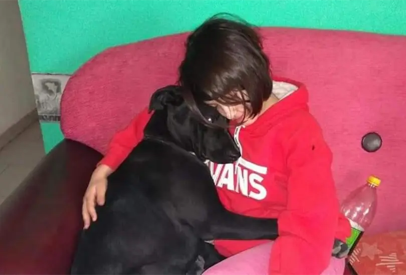 Polic&iacute;a ir&aacute; a prisi&oacute;n tras matar a pitbull considerada hija no humana