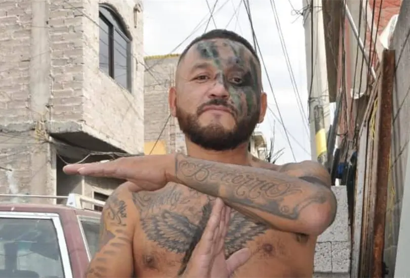 El Mijis considera que whitexican es un t&eacute;rmino racista; pide no usarlo 