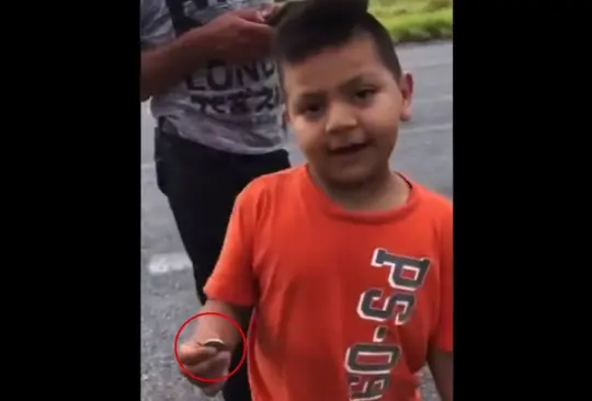 Niño pone el ejemplo: paga naranjas de camión que era rapiñado por adultos
