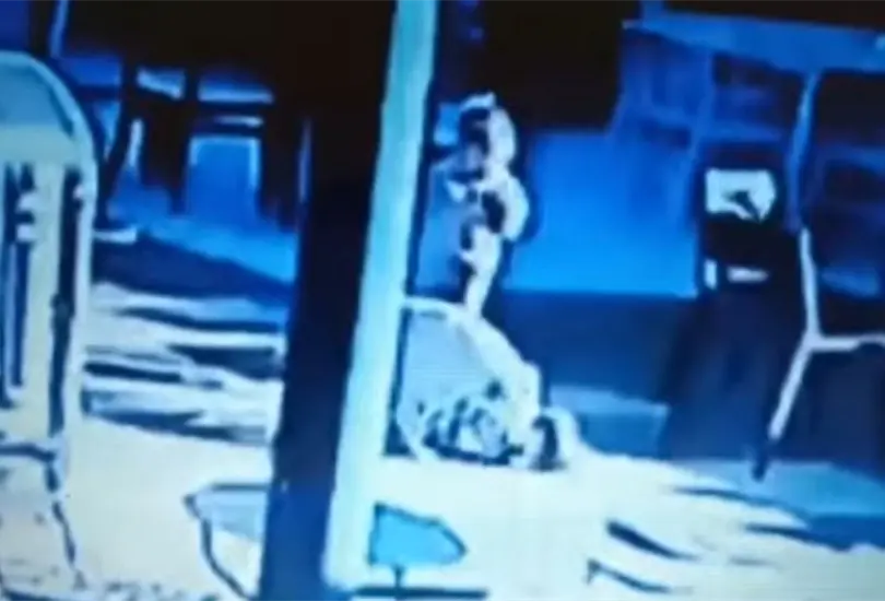 Hombre mata de una patada a perro que supuestamente atacó a su hijo Hombre mata de una patada a perro que supuestamente atacó a su hijo