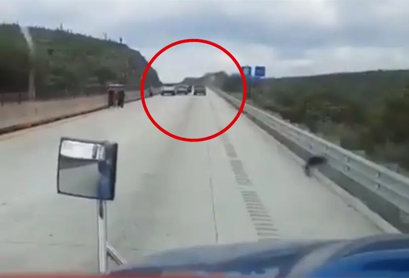 Revelan video de asalto en carretera del terror que conecta a Monterrey y Nuevo Laredo