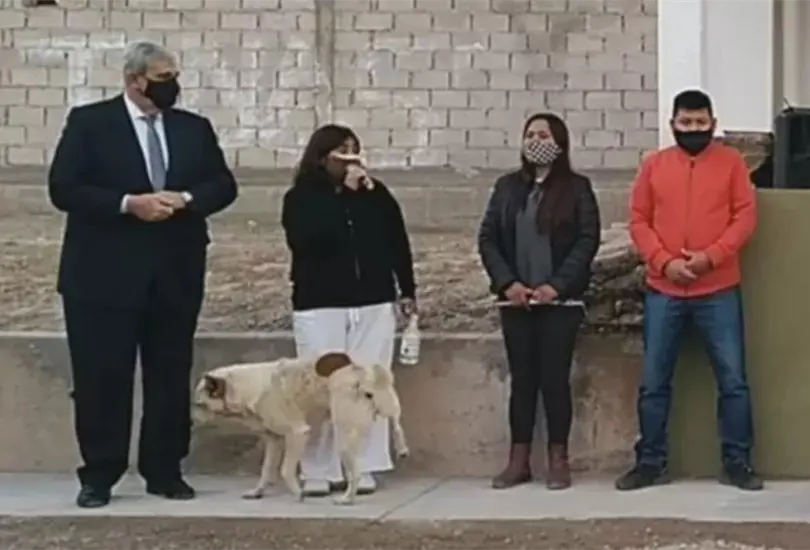 Perrito orina a alcaldesa mientras deba un discurso Perrito orina a alcaldesa mientras deba un discurso