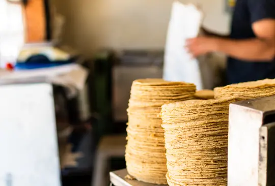 Pujol vende docena de tortilla a 45 pesos; lo tunden en redes 