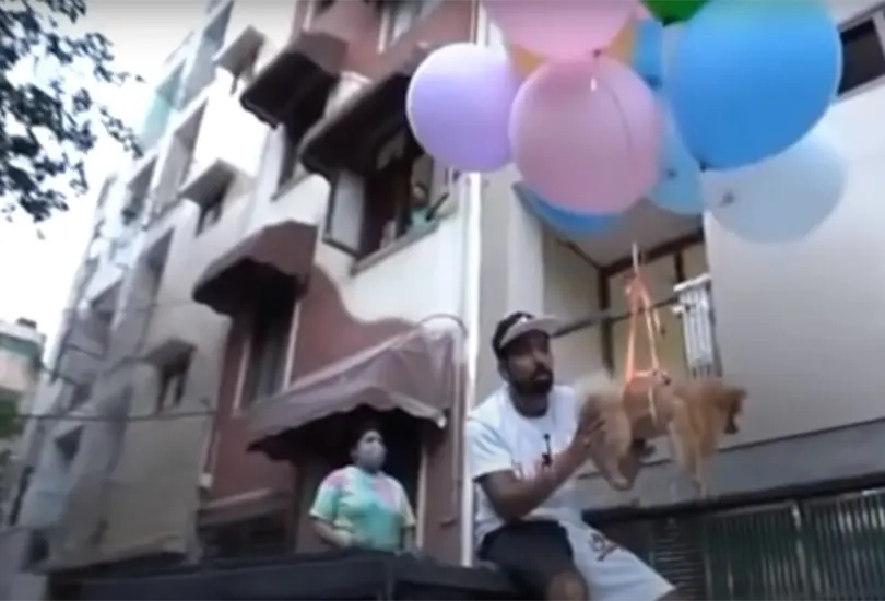 Arrestan a youtuber por crueldad animal, hizo volar a su perro Arrestan a youtuber por crueldad animal, hizo volar a su perro