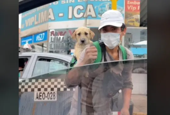 Limpiaparabrisas carga a su perrito mientras trabaja en los cruceros