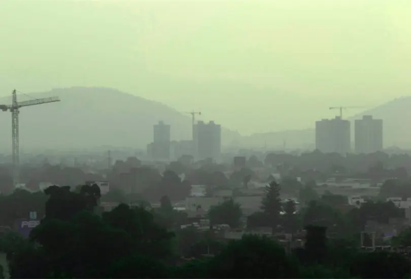 Bacteria causante del hongo negro est&aacute; en el aire de la CDMX, revela estudio de la UNAM