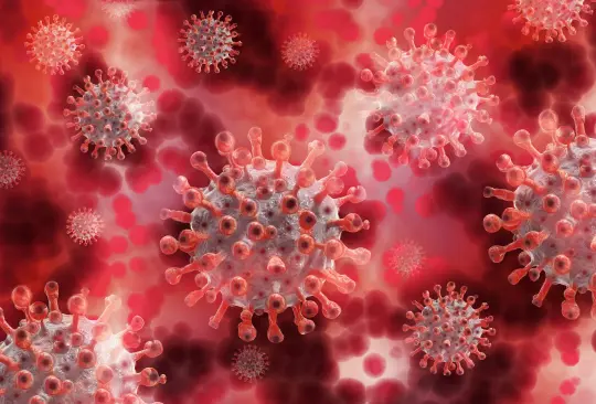 ¿Desarrollarás COVID grave? Nuevo estudio de sangre permite seguir evolución del coronavirus