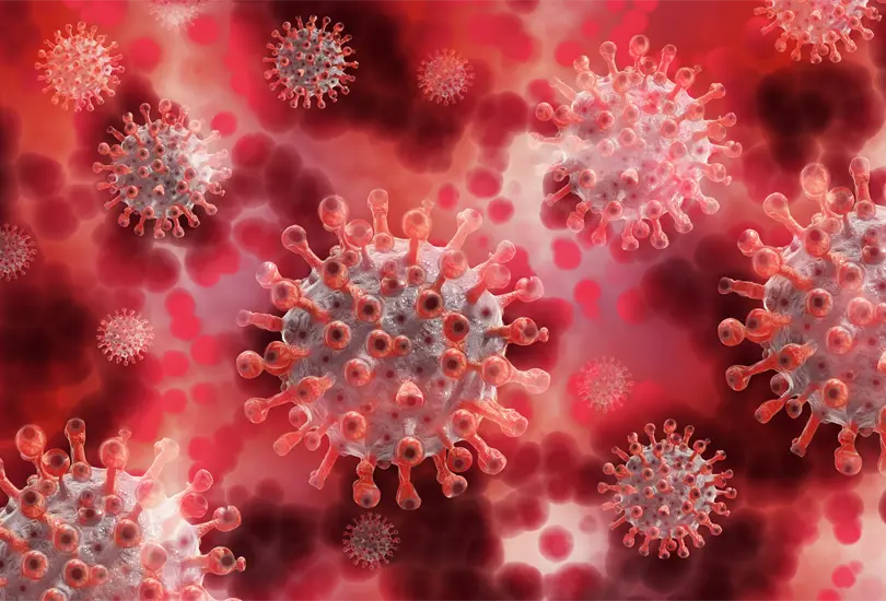 &iquest;Desarrollar&aacute;s COVID grave? Nuevo estudio de sangre permite seguir evoluci&oacute;n del coronavirus