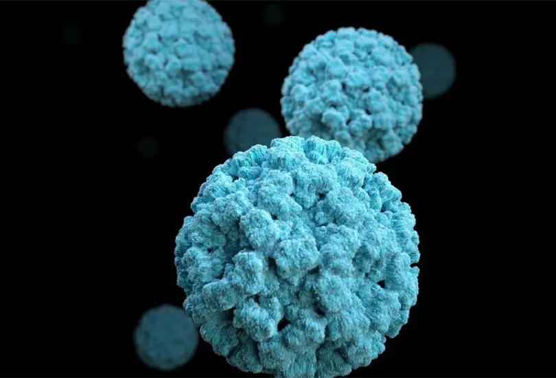 Norovirus: qu&eacute; es y c&oacute;mo se contagia la enfermedad que puso en alerta a Reino Unido