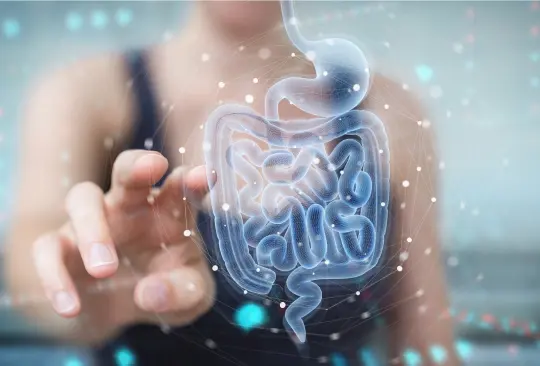 Por qué los probióticos ayudan a combatir la colitis, el estreñimiento y reforzar el sistema inmune Por qué los probióticos ayudan a combatir la colitis, el estreñimiento y reforzar el sistema inmune
