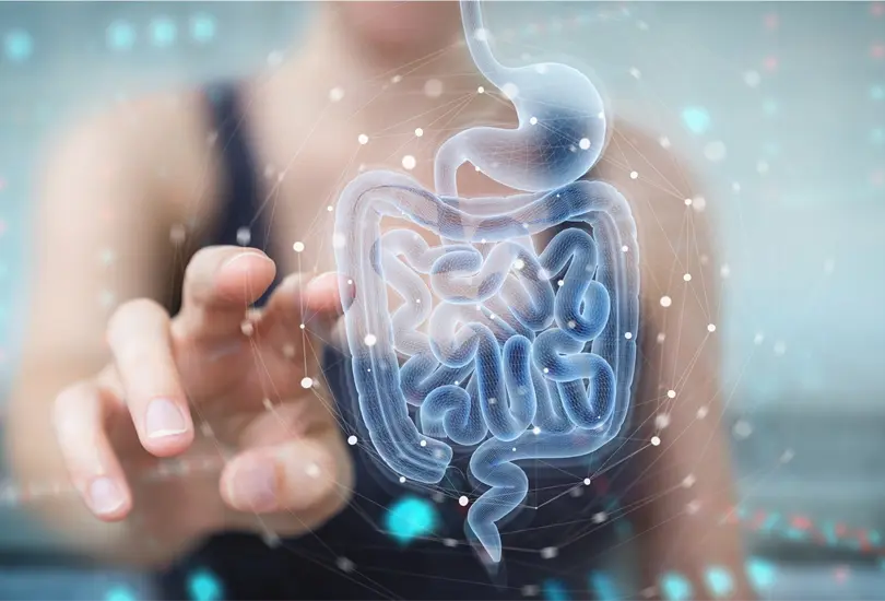 Por qu&eacute; los probi&oacute;ticos ayudan a combatir la colitis, el estre&ntilde;imiento y reforzar el sistema inmune