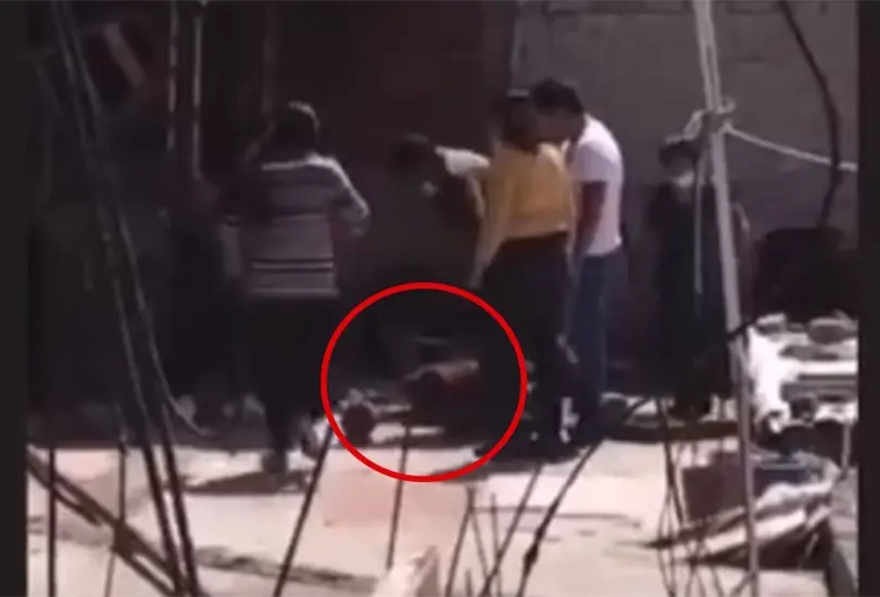 Graban a una familia asesinando a un perrito con palos y piedras Graban a una familia asesinando a un perrito con palos y piedras