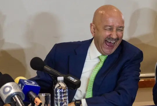 Consulta popular: ¿Por qué acciones se le señala a Salinas de Gortari?