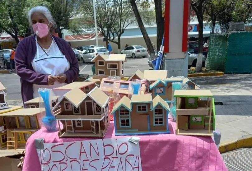 Abuelita cambia casas de cart&oacute;n por despensas: ya no me alcanza para vivir