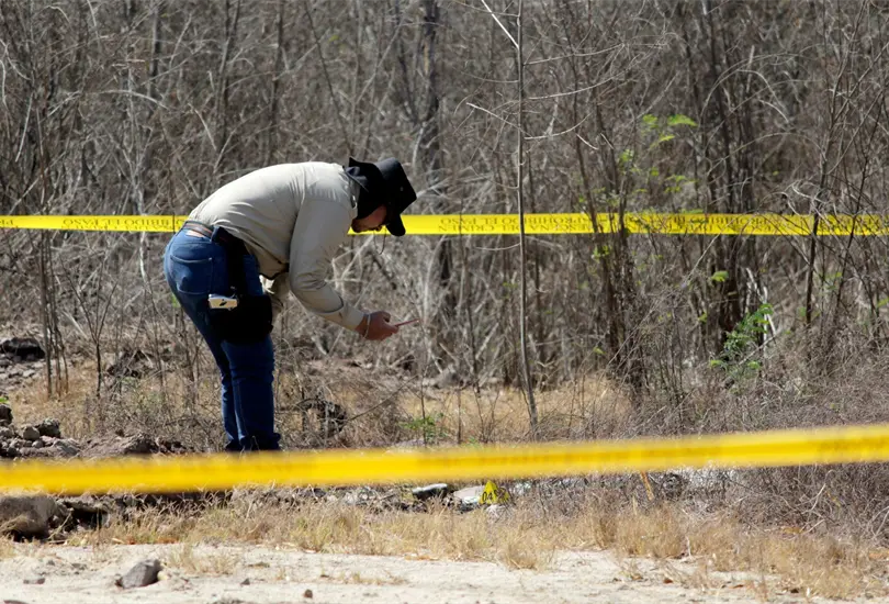 Madres buscadoras piden tregua al Cártel del Golfo para buscar a desparecidos Madres buscadoras piden tregua al Cártel del Golfo para buscar a desparecidos