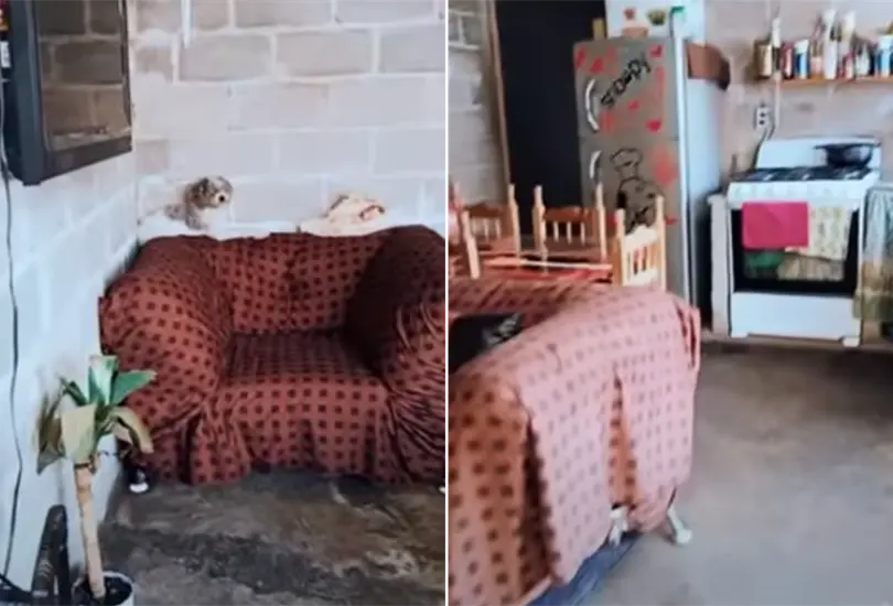 Es de laminita pero es m&iacute;a, presume su casa en el Edomex y se hace viral