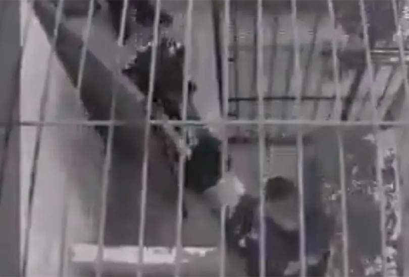 Difunden videos sobre la detenci&oacute;n de Jos&eacute; Eduardo; entr&oacute; inconsciente a la celda
