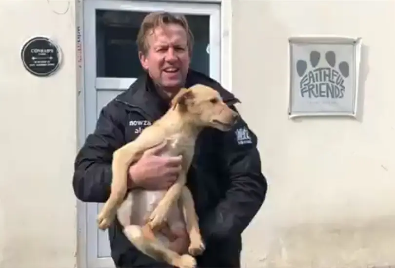 Fundador de refugio se rehúsa a dejar Afganistán sin los 200 animales que rescató Fundador de refugio se rehúsa a dejar Afganistán sin los 200 animales que rescató