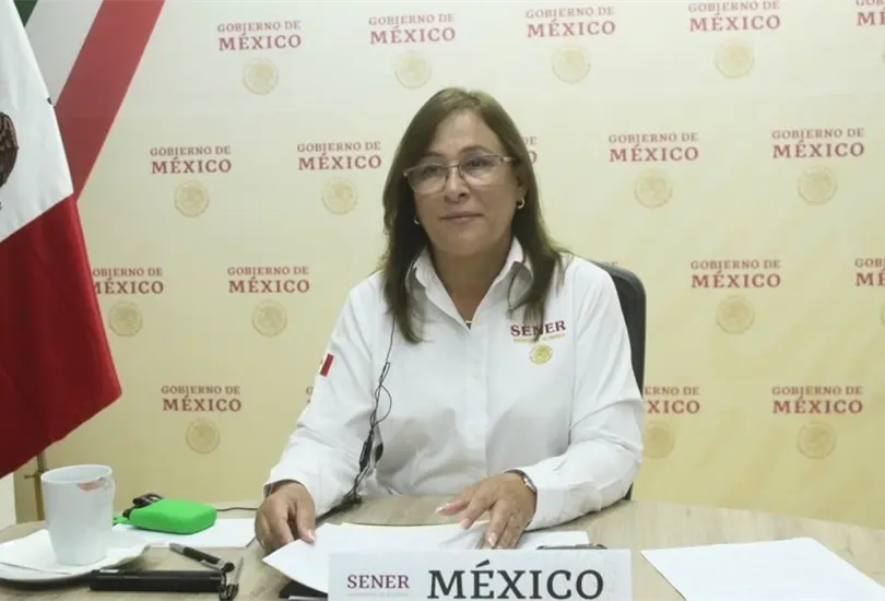 Roc&iacute;o Nahle no se descarta como candidata presidencial en 2024