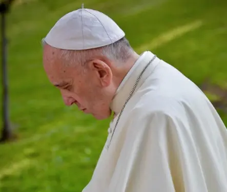 Ellos son los dos cardenales considerados los más grandes opositores al Papa Francisco 