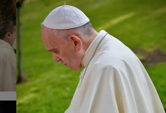 Ellos son los dos cardenales considerados los más grandes opositores al Papa Francisco 