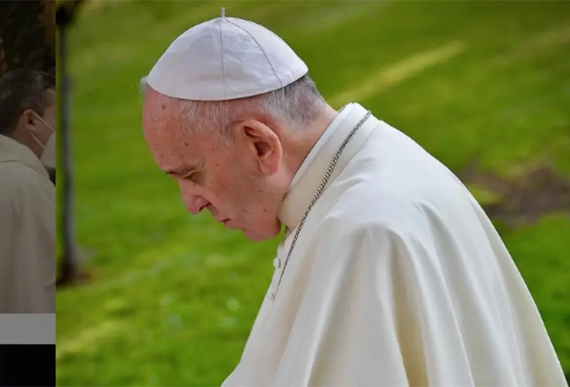 Ellos son los dos cardenales considerados los m&aacute;s grandes opositores al Papa Francisco 