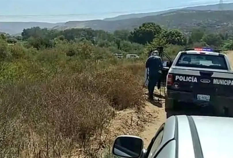 Apu&ntilde;alan a un par de ni&ntilde;os y dejan sus cuerpos entre unos matorrales 