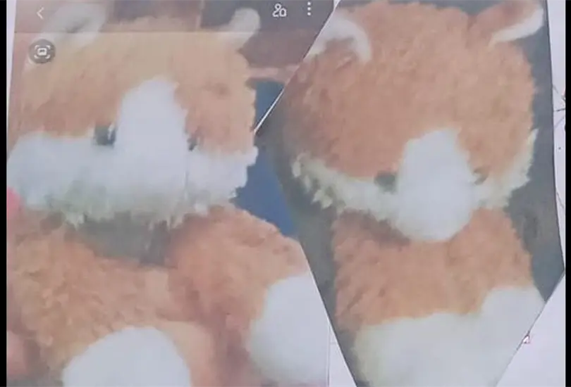 Es mi mejor amigo: niña ofrece recompensa para recuperar a su peluche Es mi mejor amigo: niña ofrece recompensa para recuperar a su peluche