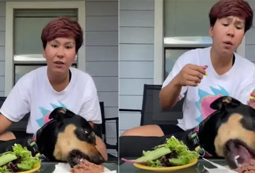 Tiktoker quiso demostrar que su perrita era vegetariana... pero prefirió comer carne Tiktoker quiso demostrar que su perrita era vegetariana... pero prefirió comer carne