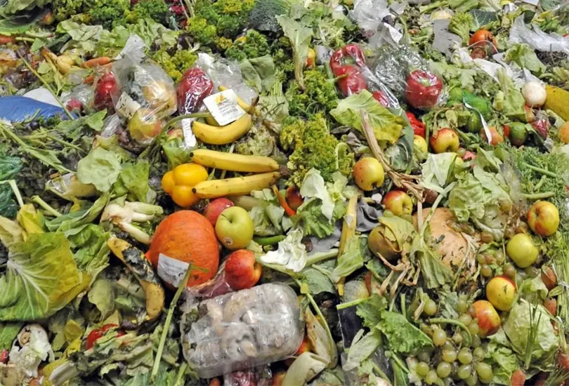 La carne de res y las tortillas son algunos de los alimentos que más se desperdician en México. La carne de res y las tortillas son algunos de los alimentos que más se desperdician en México.