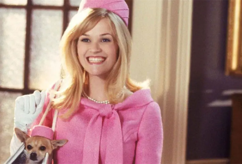 As&iacute; luce ahora el elenco de Legalmente rubia