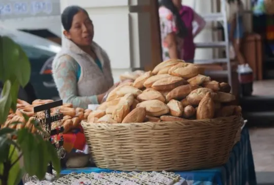 ¿Realmente sirve comer bolillo "pal susto"? Esto dice la ciencia ¿Realmente sirve comer bolillo "pal susto"? Esto dice la ciencia