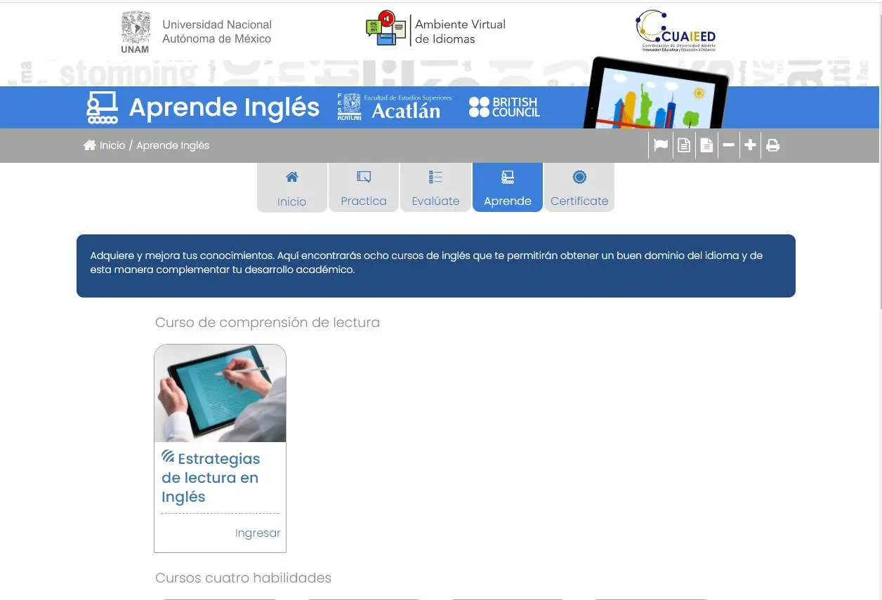 Fuente: https://avi.cuaieed.unam.mx/index.html