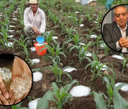 Lluvia sólida, el invento mexicano ayuda al mundo a combatir la sequía