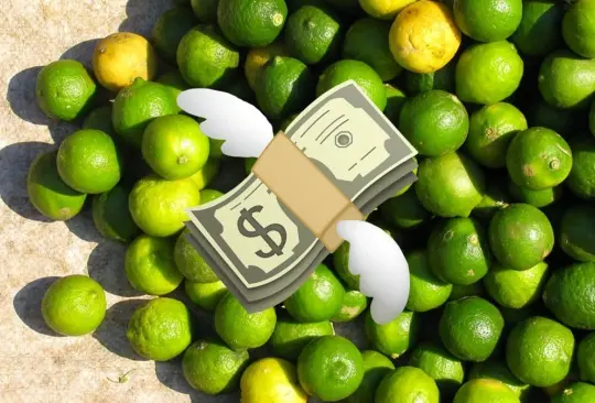 ¿Por qué está caro el limón? Precio por kilo ¡está por las nubes! ¿Por qué está caro el limón? Precio por kilo ¡está por las nubes!