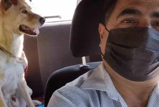 Taxista de CDMX se vuelve viral tras permitir a pasajeros viajar con mascotas Taxista de CDMX se vuelve viral tras permitir a pasajeros viajar con mascotas