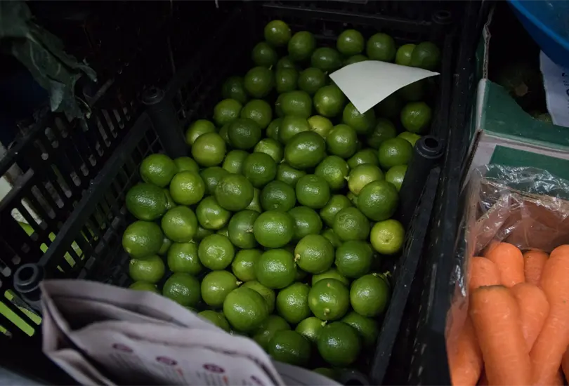 ¿Cuándo bajará el precio del limón? Ya hay una fecha estimada ¿Cuándo bajará el precio del limón? Ya hay una fecha estimada