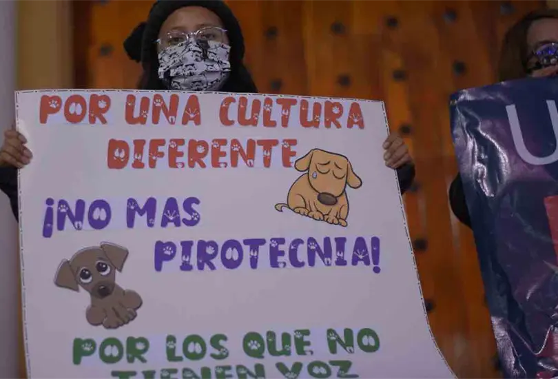 Hasta 6 a&ntilde;os de c&aacute;rcel y multa de casi 58 mil pesos a quien agreda a animales con pirotecnia