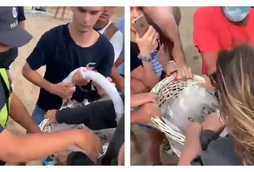 Turistas evitan que polic&iacute;as le quiten su canasta de churros a vendedor ambulante