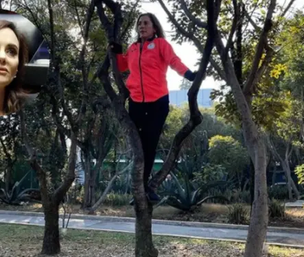 Cada vez pierde más el piso: Lilly Téllez sobre Beatriz Gutiérrez Müller