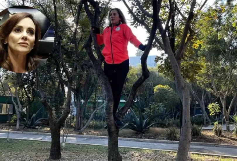 Cada vez pierde m&aacute;s el piso: Lilly T&eacute;llez sobre Beatriz Guti&eacute;rrez M&uuml;ller