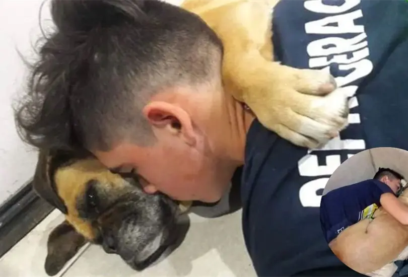 Perrita muere en brazos de su due&ntilde;o tras crisis por fuegos artificiales