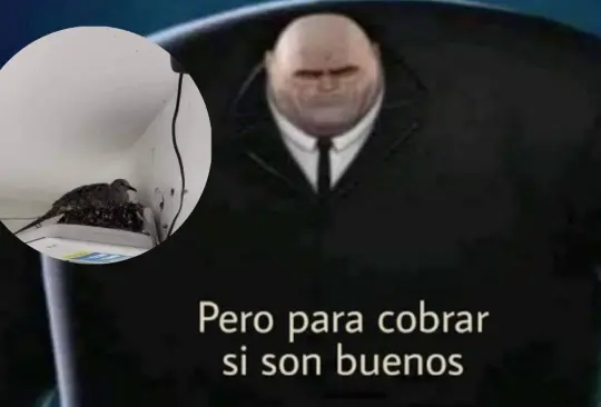 Usuarios reportan fallas con el internet de Telmex y se desatan los memes