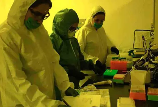 ¿Necesitas saber si tienes COVID-19? La UNAM realiza pruebas PRC más baratas