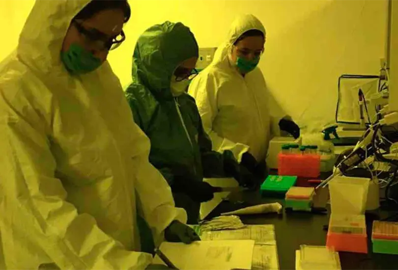 ¿Necesitas saber si tienes COVID-19? La UNAM realiza pruebas PRC más baratas ¿Necesitas saber si tienes COVID-19? La UNAM realiza pruebas PRC más baratas
