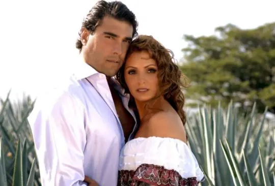 La telenovela fue estrenada en 2007. Te presentamos cómo luce el elenco de Destilando amor, después de 15 años.