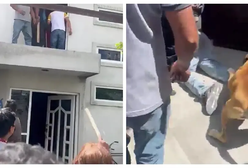 Perro ayuda a detener a un presunto delincuente 