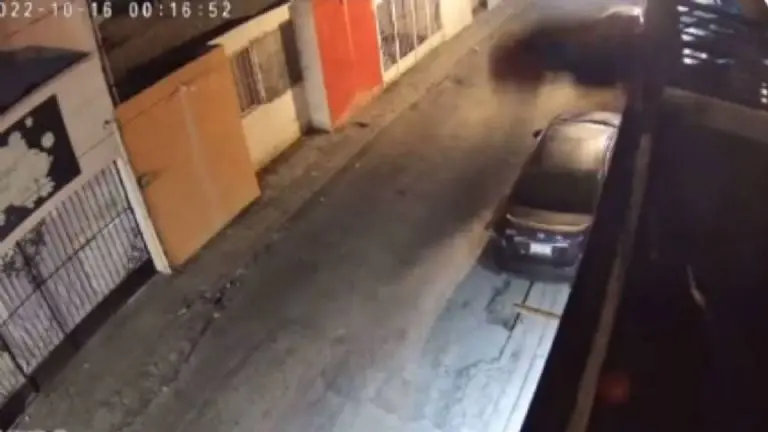 El ladr&oacute;n planeaba robar una casa pero no contaba con que los guardias perrunos lo hicieran caer desde la azotea Cr&eacute;ditos: 