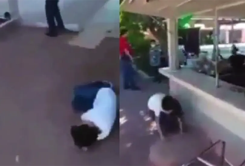 En el video se ve a los ni&ntilde;os echarse en el suelo del patio de la primaria 24 de febrero Cr&eacute;ditos: Captura de pantalla